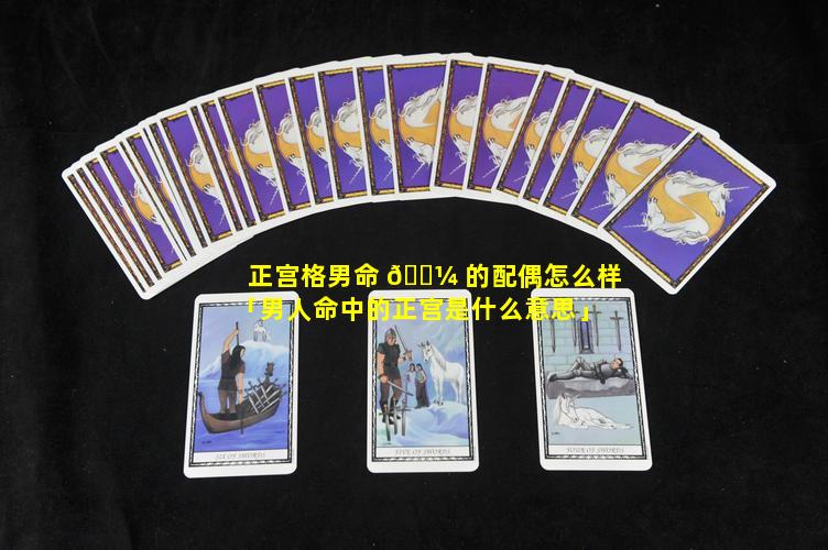 正宫格男命 🐼 的配偶怎么样「男人命中的正宫是什么意思」